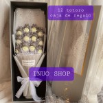 Ramo bonito de totoro